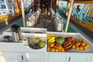 Scuba Diving & Snorkeling Experience in North Phu Quoc