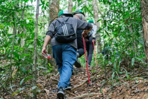 Suoi Tien 1-dniowy trekking: Wycieczka Phu Quoc
