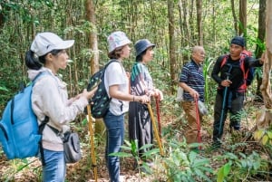 Senderismo de 1 día en Suoi Tien: Excursión a Phu Quoc