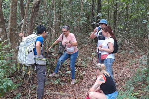 Tien Son Dinh 1-dags trekkingtur Phu Quoc