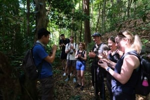 Visite à la journée du trekking Tien Son Dinh Phu Quoc