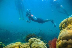 Tour de mergulho livre em Phu Quoc: momentos fascinantes de mergulho livre