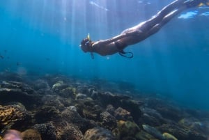 Tour freediving Phu Quoc: fascinating free-diving moments