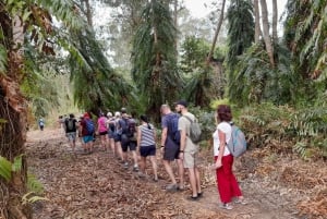 Phu Quoc Trekking and SUP on Rach Tram River