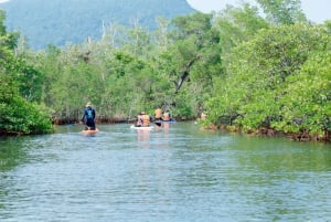 Senderismo y SUP en Phu Quoc por el río Rach Tram