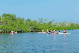 Phu Quoc Trekking and SUP on Rach Tram River