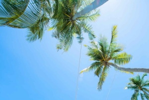 Nowa wycieczka VIP 2-dniowa: Tunele Cu Chi – Delta Mekongu Homestay