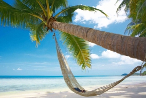 Nowa wycieczka VIP 2-dniowa: Tunele Cu Chi – Delta Mekongu Homestay