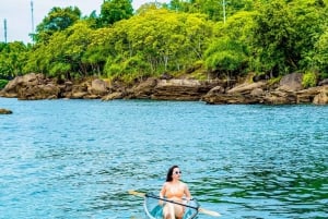 Visite o cruzeiro Nautilus Excursão turística e mergulho com snorkel de meio dia