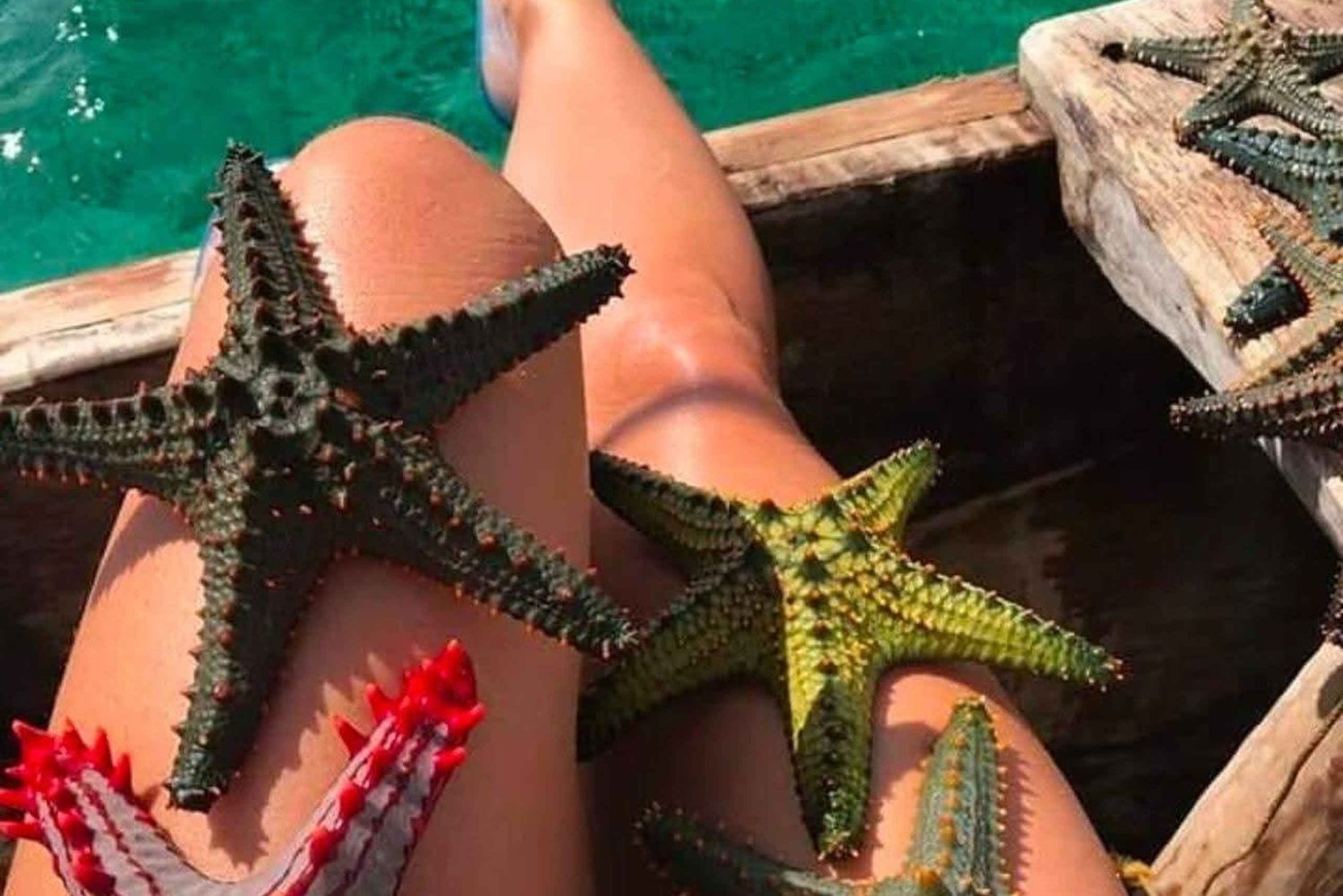 Zanzibar: Jozani-metsä, Starfish Beach ja Rock Restaurant