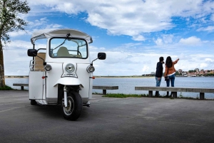 2 tunnin yksityinen Tuktuk-kierros Portossa luostariin ja kellareihin