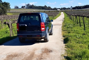 4x4 & Vinho Verde with transportation for the activity