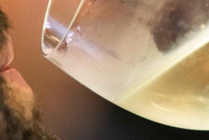 4x4 & Vinho Verde with transportation for the activity