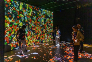 Ah Amália - Immersive Fado Experience Porto