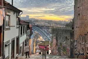 Porto, Portugali: Yksityinen päiväretki perheille ja pienille ryhmille.