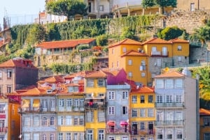 Porto, Portugali: Yksityinen päiväretki perheille ja pienille ryhmille.