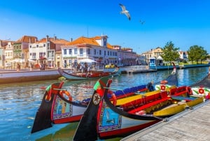 Aveiro y Costa Nova Tour de medio día con crucero desde Oporto