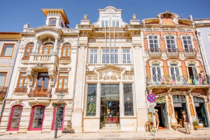 Aveiro y Costa Nova Tour de medio día con crucero desde Oporto