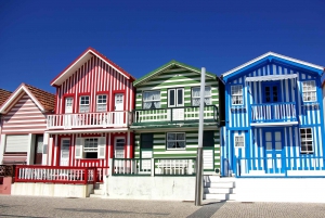 Aveiro y Costa Nova Tour de medio día con crucero desde Oporto
