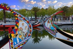 Aveiro y Costa Nova Tour de medio día con crucero desde Oporto