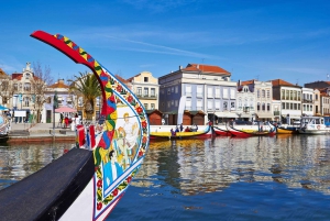 Aveiro y Costa Nova Tour de medio día con crucero desde Oporto