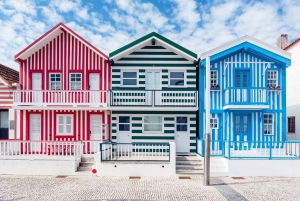 Aveiro y Costa Nova Tour de medio día con crucero desde Oporto