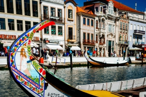 Aveiro y Costa Nova Tour de medio día con crucero desde Oporto