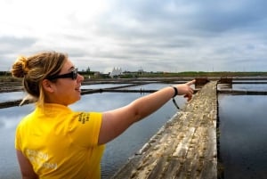 Aveiro: Städtetour, Ovos Moles Workshop und Bootsfahrt