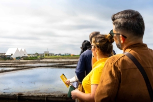 Aveiro: Städtetour, Ovos Moles Workshop und Bootsfahrt