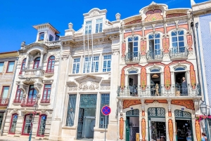 Tour della città di Aveiro: escursione privata con biglietti inclusi.