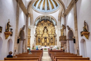 Tour della città di Aveiro: escursione privata con biglietti inclusi.