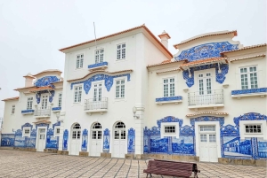 Tour della città di Aveiro: escursione privata con biglietti inclusi.