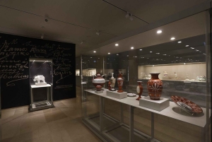 Tour della città di Aveiro: escursione privata con biglietti inclusi.