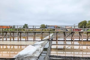 Aveiro : balade en gondole et plage de Costa Nova – tout compris.
