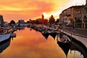 AVEIRO, COSTA NOVA E COIMBRA: Privat tur fra Porto