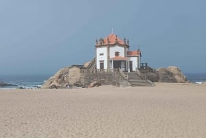 Aveiro, Costa Nova: excursión única desde Oporto.