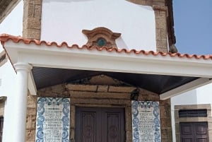 Aveiro, Costa Nova: excursión única desde Oporto.