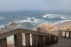 Aveiro, Costa Nova: excursión única desde Oporto.