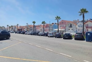 Aveiro, Costa Nova: excursión única desde Oporto.