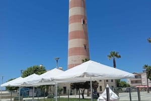 Aveiro, Costa Nova: excursión única desde Oporto.