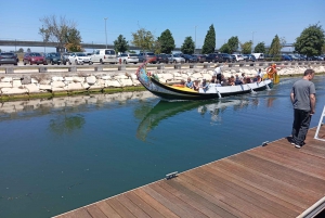 Aveiro, Costa Nova: excursión única desde Oporto.