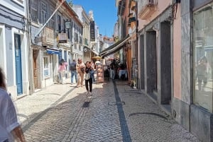 Aveiro, Costa Nova: excursión única desde Oporto.