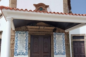 Aveiro, Costa Nova: excursión única desde Oporto.