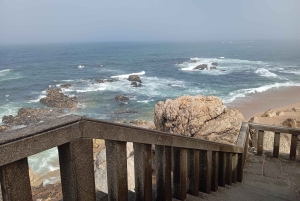 Aveiro, Costa Nova: excursión única desde Oporto.