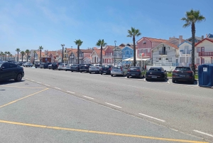 Aveiro, Costa Nova: excursión única desde Oporto.