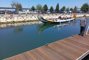 Aveiro, Costa Nova: excursión única desde Oporto.