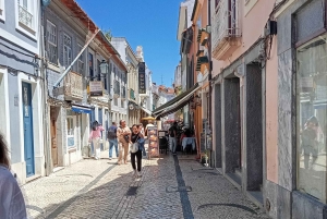 Aveiro, Costa Nova: excursión única desde Oporto.