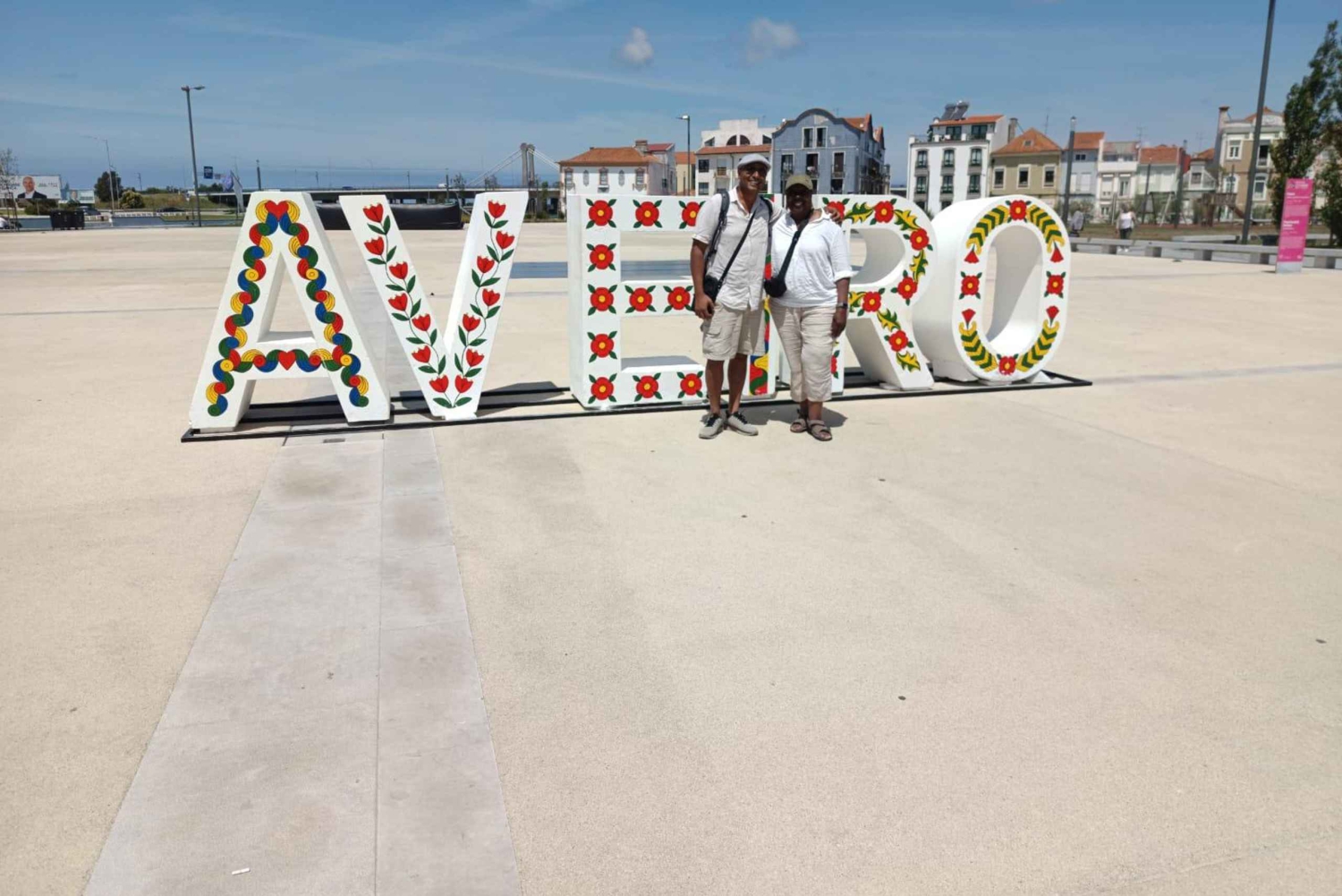 AVEIRO E COSTA NOVA: Private Full-Day Tour w/Boat from Porto