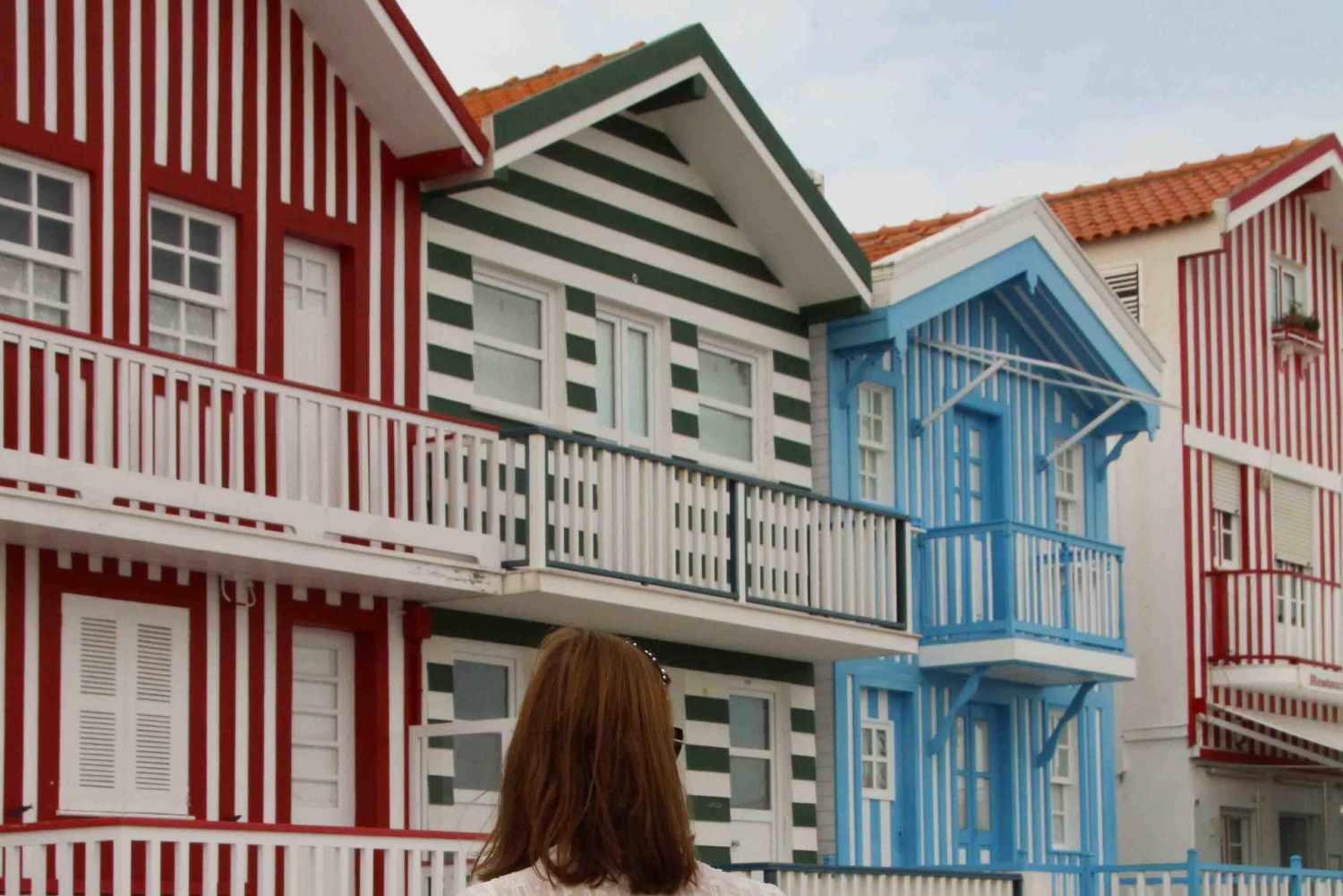 AVEIRO E COSTA NOVA: Private Full-Day Tour w/Boat from Porto