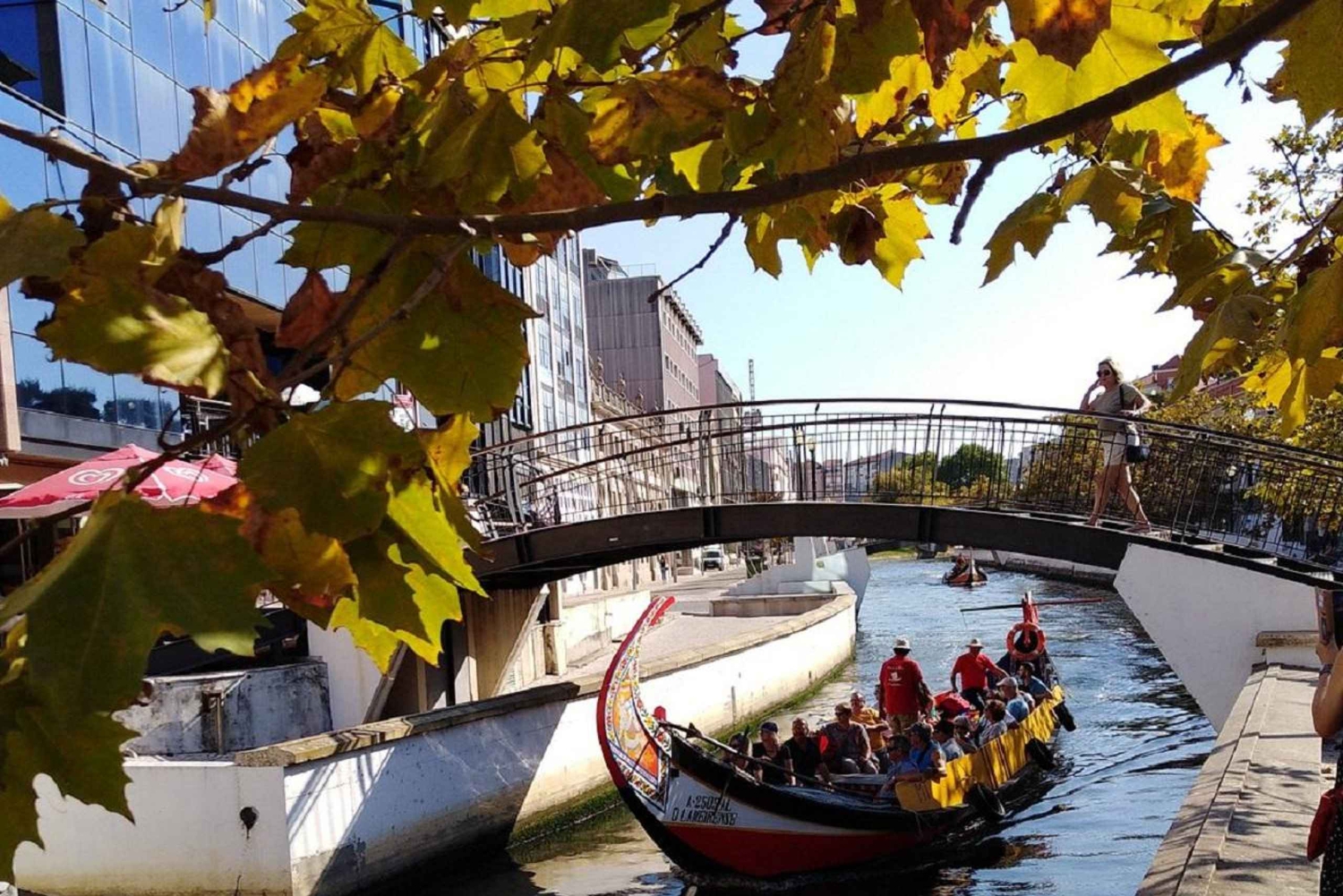 AVEIRO E COSTA NOVA: Private Full-Day Tour w/Boat from Porto